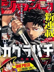 全职猎人漫画嵌合蚁篇封面